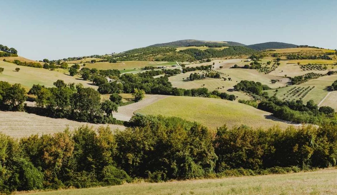 The rolling hills of Le Marche, Italy where Bob and Ian Garner have a sustainable short-term rental