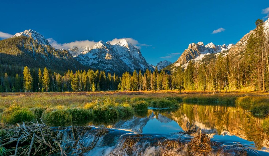 Beaverdam Creek Idaho