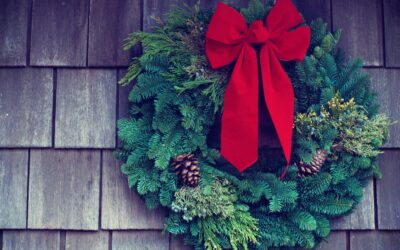 November 2025 Newsletter