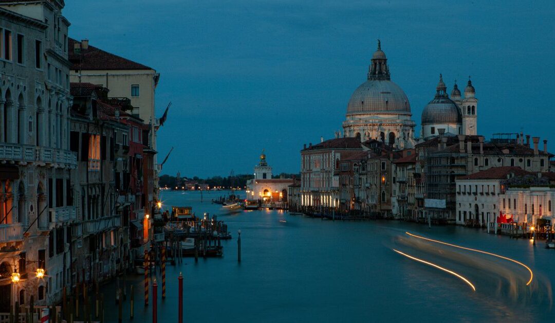 January 2026 Newsletter